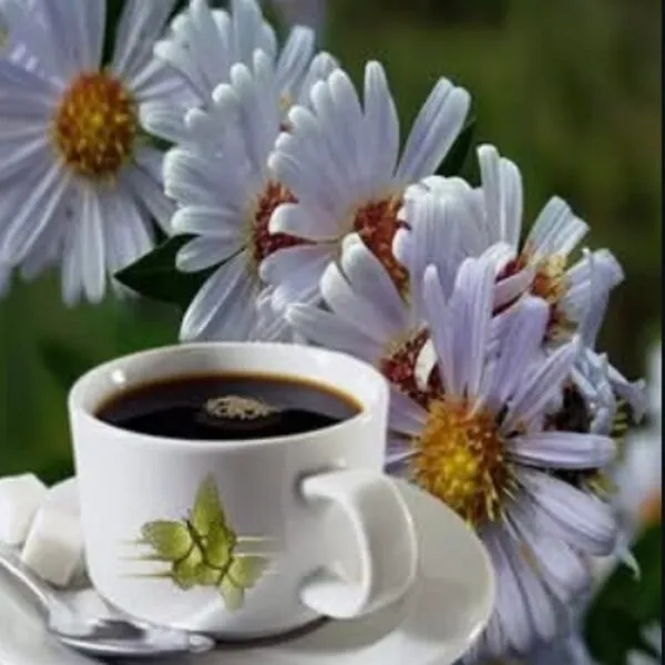 A cup of coffee beside spring daisies